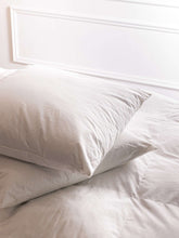 Load image into Gallery viewer, Cocoon Cushion Inners Set of 2